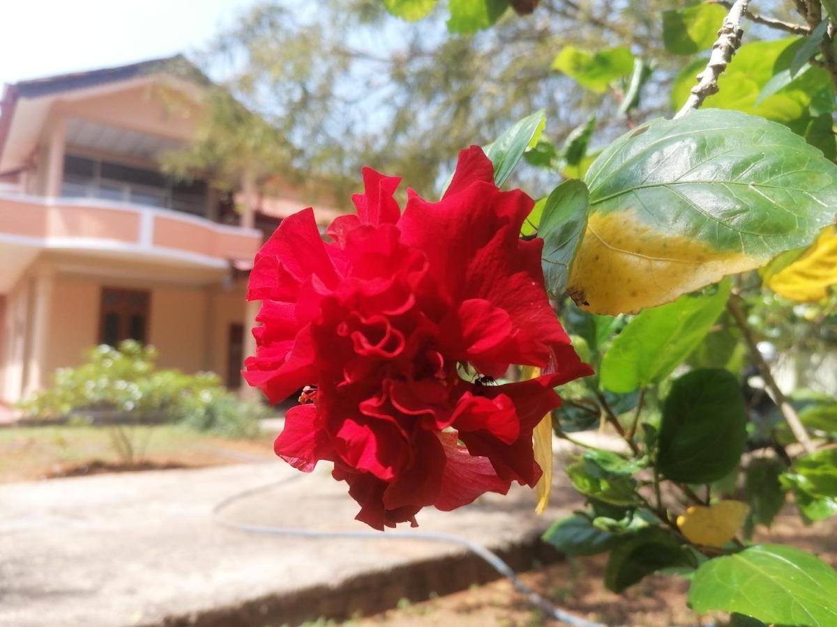 Ashoka Villa Jaffna Esterno foto